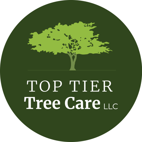 Top Tier Tree Care is a family owned and operated tree service in Lebanon, OR