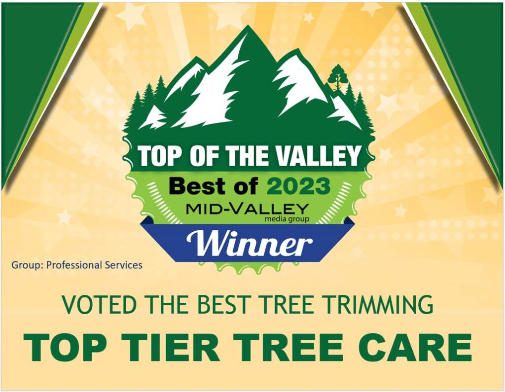 Voted the best tree trimming company in the Willamette Valley