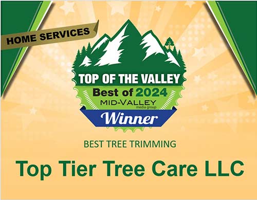 Voted the best tree trimming company in the Willamette Valley